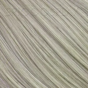 15" Weft Extension - Blonde Mix