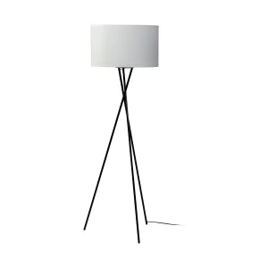 Ambrone Floor Lamp