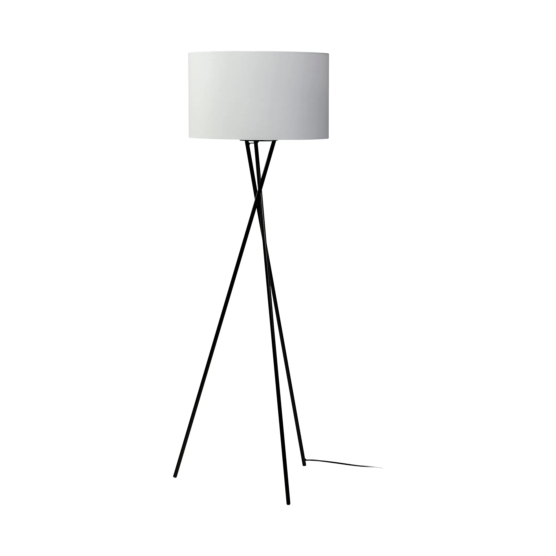 Ambrone Floor Lamp