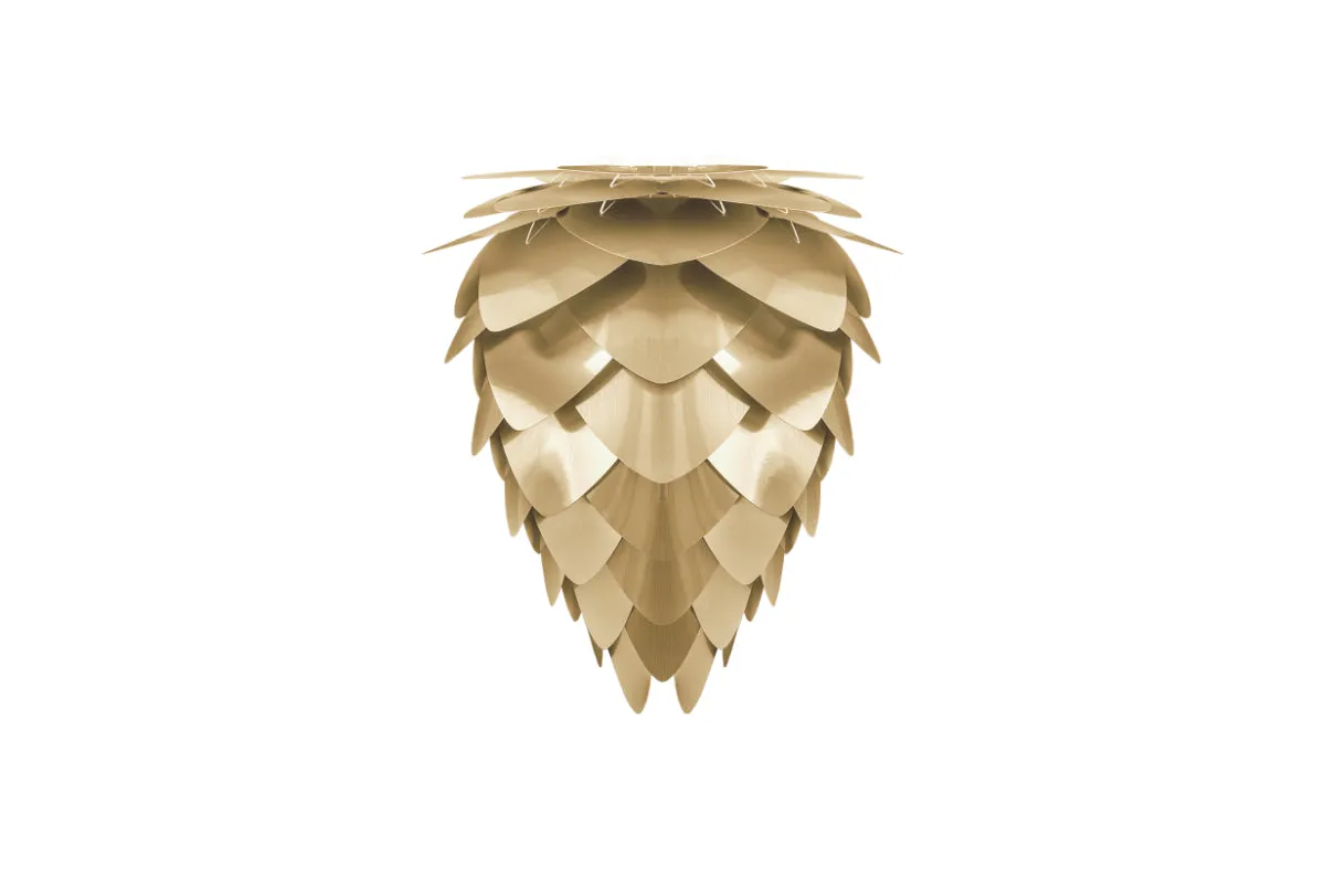 CONIA Brushed Brass Floor Lamps