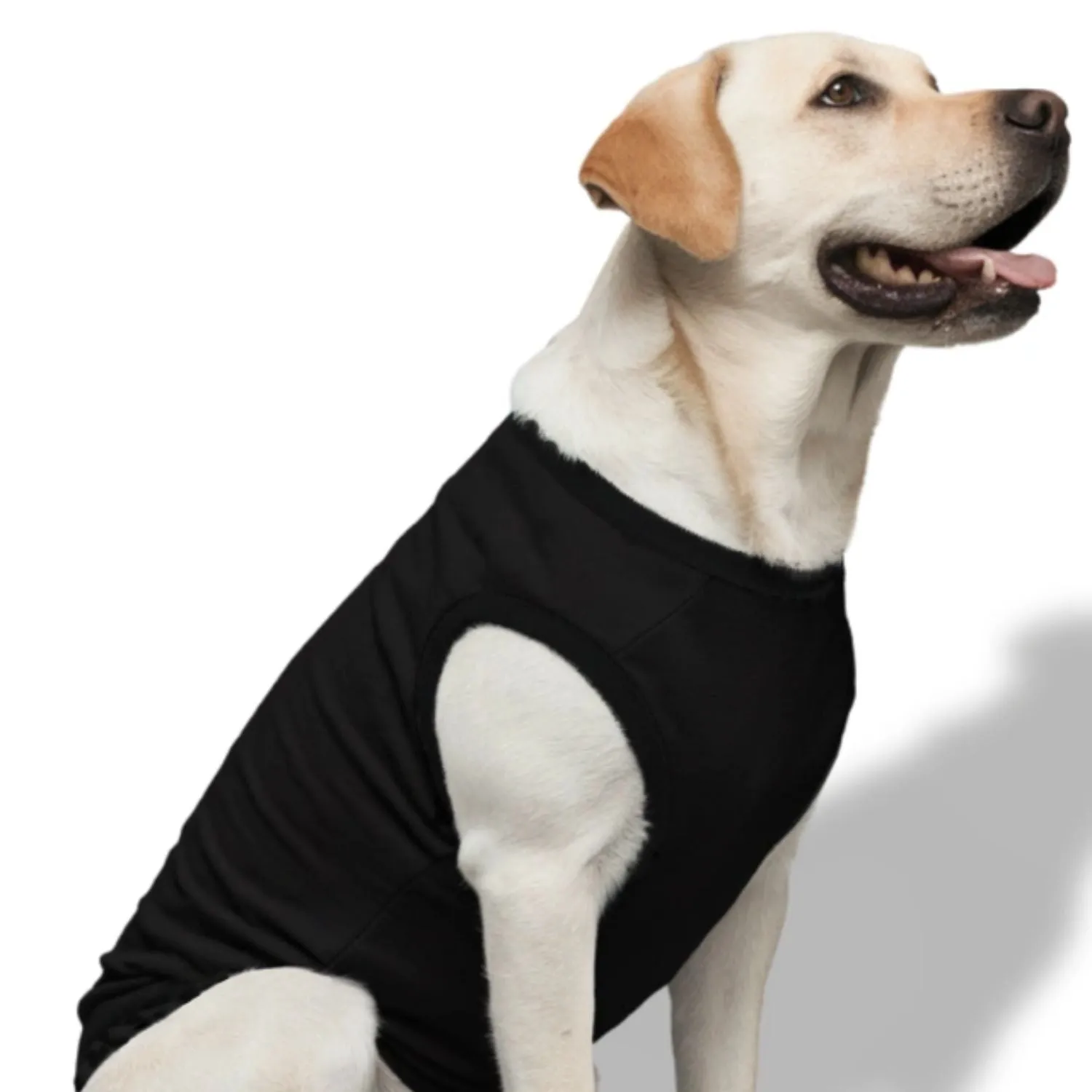 Custom Dog T-Shirts