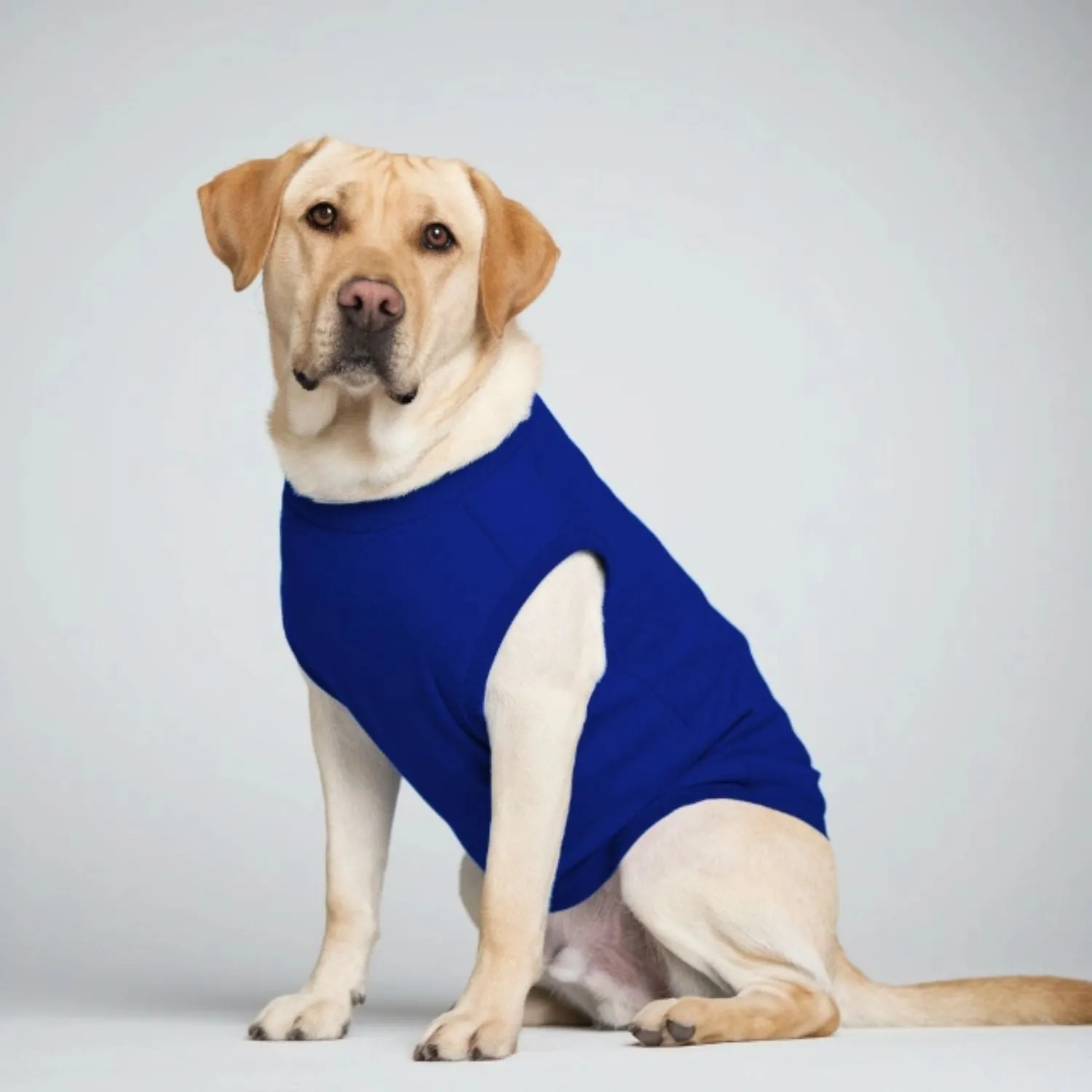 Custom Dog T-Shirts