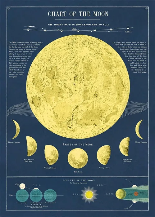 Florentine Print Moon Chart