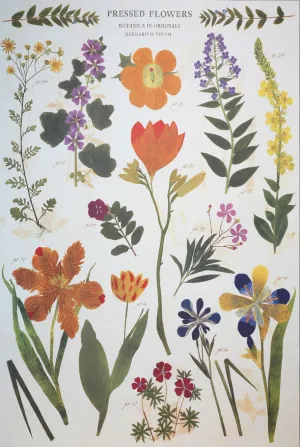 Florentine Print Pressed Flowers