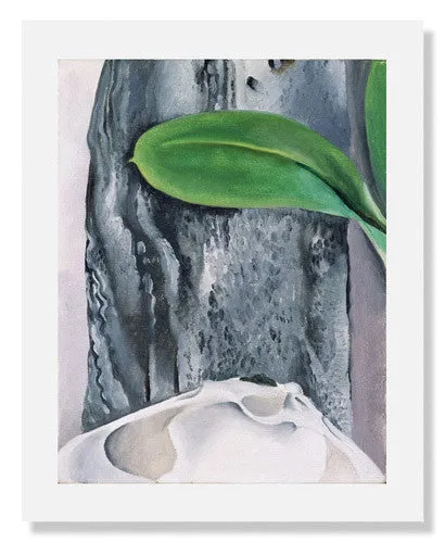 Georgia O'Keeffe, Shell and Old Shingle No. I