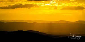 Golden Hour Fine Art Photography Curved Metal Print