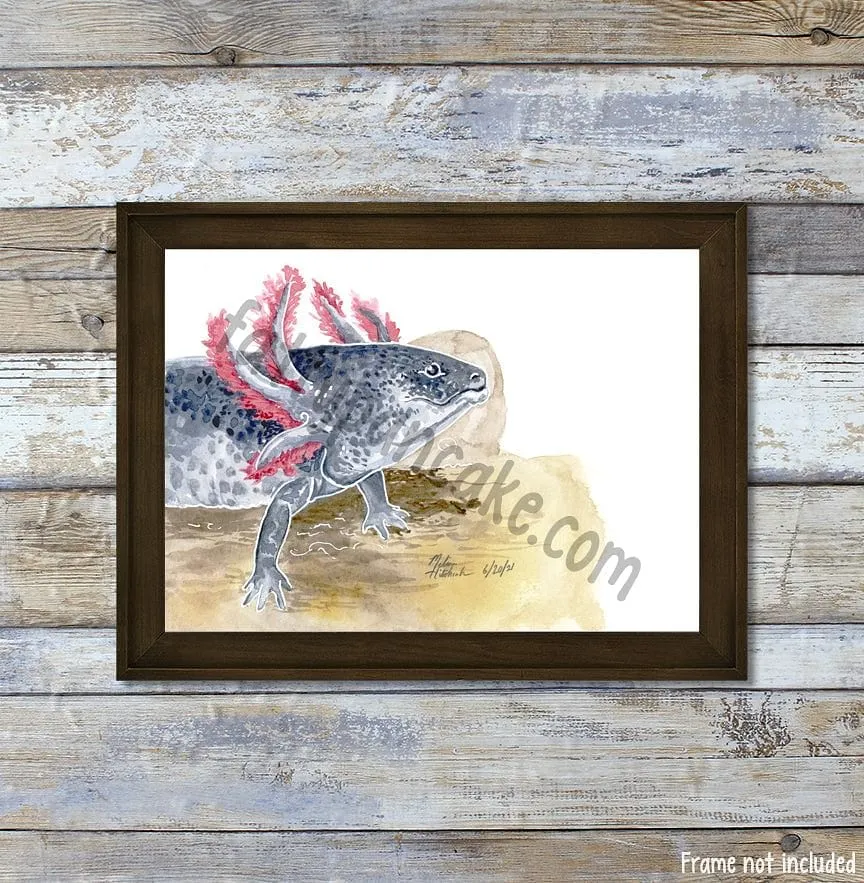 Melanistic Axolotl Watercolor Art Print