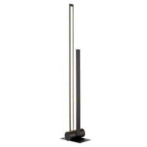 Rylan LED Floor Lamp in Matte Black